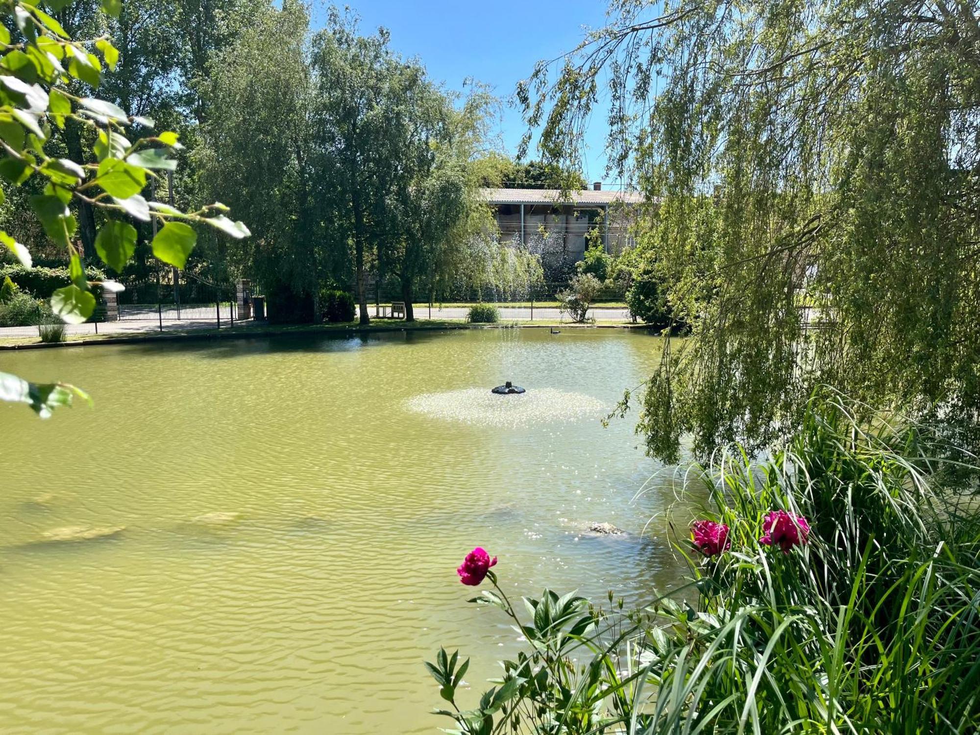 L'Etang D'Une Pause Samer Dış mekan fotoğraf
